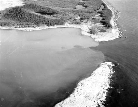 1946 lituya bay mega tsunami|biggest tsunami ever.
